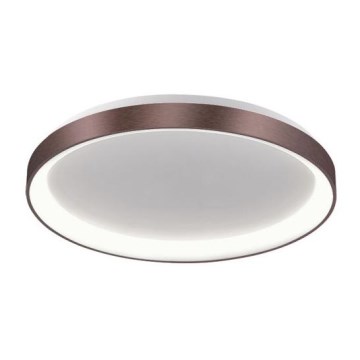 LED2 - Plafoniera BELLA LED/48W/230V 3000K/4000K marrone