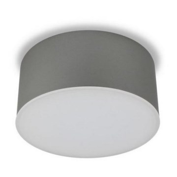 LED2 - Plafoniera LED BUTTON LED/17W/230V argento