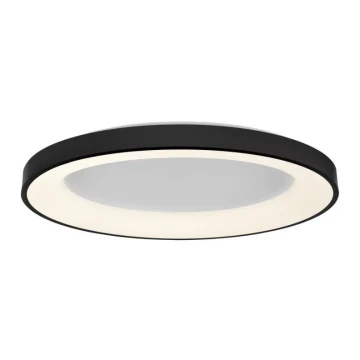 LED2 - Plafoniera LED dimmerabile BELLA LED/80W/230V 3000K/4000K nero