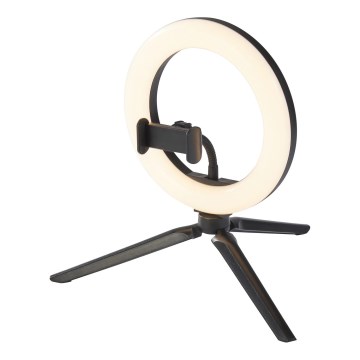 Ledvance - Lampada da tavolo LED dimmerabile con un supporto e supporto per vlogging LED/5,5W/USB 3000/4000/6500K