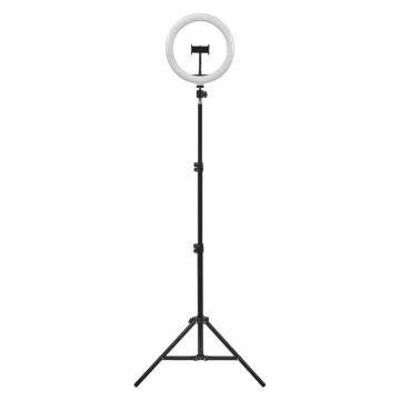 Ledvance - Lampada da terra dimmerabile a LED con un supporto e supporto per vlogging LED/6W/USB 3000/4000/6500K