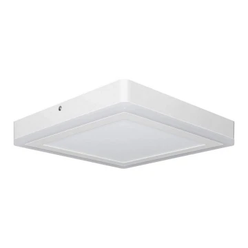 Ledvance - Plafoniera LED SQUARE LED/18W/230V