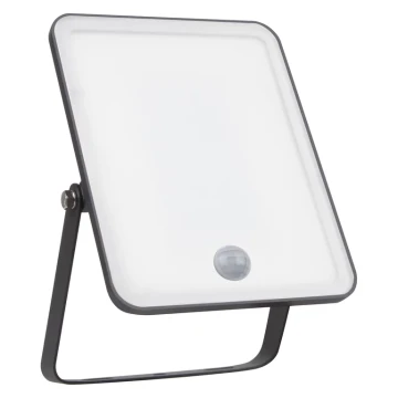 Ledvance - Proiettore LED da esterno con sensore FLOODLIGHT LED/30W/230V 6500K IP65