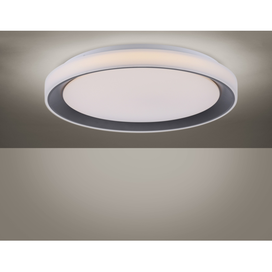 Leuchten Direkt 14659-18 - Plafoniera LED RGB dimmerabile LOLA LED/24W/230V Tuya + telecomando