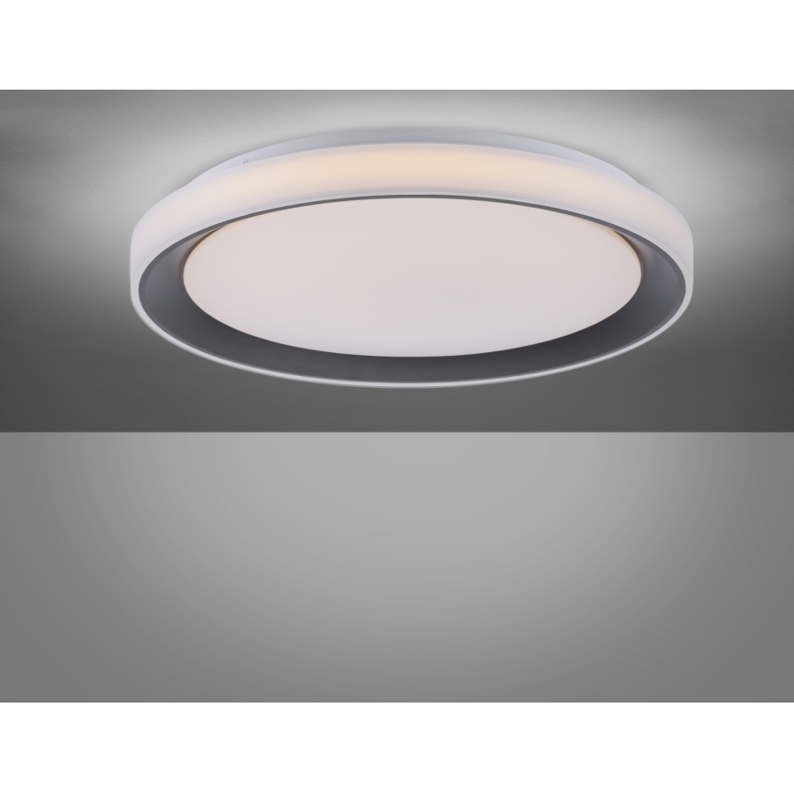 Leuchten Direkt 14659-18 - Plafoniera LED RGB dimmerabile LOLA LED/24W/230V Tuya + telecomando