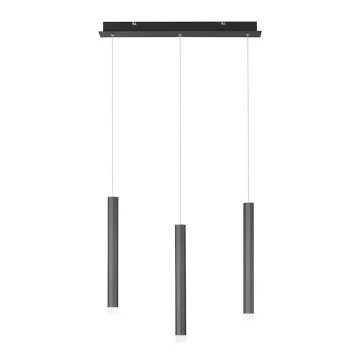 Leuchten Direkt 15203-18 - Lampadario a LED su una corda 3xLED/4,8W/230V nero