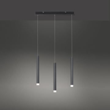 Leuchten Direkt 15203-18 - Lampadario a LED su una corda 3xLED/4,8W/230V nero