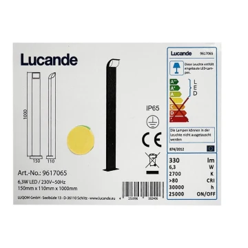 Lucande - Lampada da esterno TINNA LED/6,3W/230V IP65