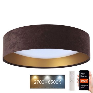 Luce LED dimmerabile SMART GALAXY LED/36W/230V d. 55 cm Wi-Fi Tuya + telecomando