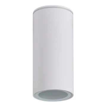 Luce Spot da bagno AQILO 1xE14/10W/230V IP65 bianco