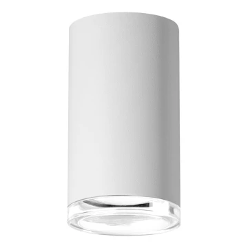 Luce Spot da bagno TURYN 1xGU10/10W/230V IP44 bianco