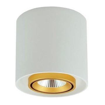 Luce Spot da soffitto EGER 1xGU10/10W/230W