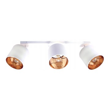 Luce Spot SOFIA 3xE27/60W/230V bianco