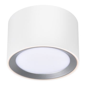 Nordlux -LED Dimmerabile bagno Luce Spot LANDON SMART LED/8W/230V 2700-6500K IP44 bianco