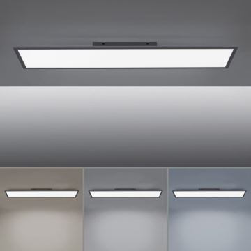 Paul Neuhaus 16533-16-O - LED Pannello da parete dimmerabile FLAT LED/24W/230V 2700-5000K nero + telecomando