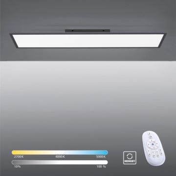 Paul Neuhaus 16533-16-O - LED Pannello da parete dimmerabile FLAT LED/24W/230V 2700-5000K nero + telecomando