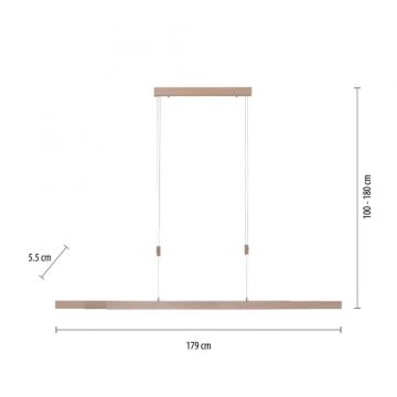 Paul Neuhaus 2568-78 - Lampadario a sospensione con filo LED dimmerabile ADRIANA LED/14W/230V 2700-5000K