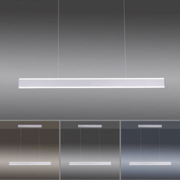 Paul Neuhaus 8363-55 - Lampadario LED dimmerabile su filo con sensore ARINA LED/20W/230V