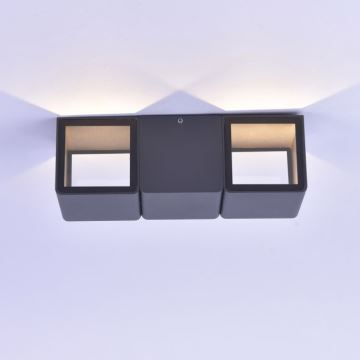 Paul Neuhaus 9658-13 - Applique LED da esterno MARCEL 2xLED/4W/230V IP54