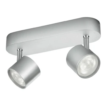 Philips - Luce Spot a LED dimmerabile 2xLED/4,5W/230V