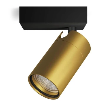 Philips - Luce Spot da bagno IDRIS 1xGU10/5W/230V IP44 nero/oro