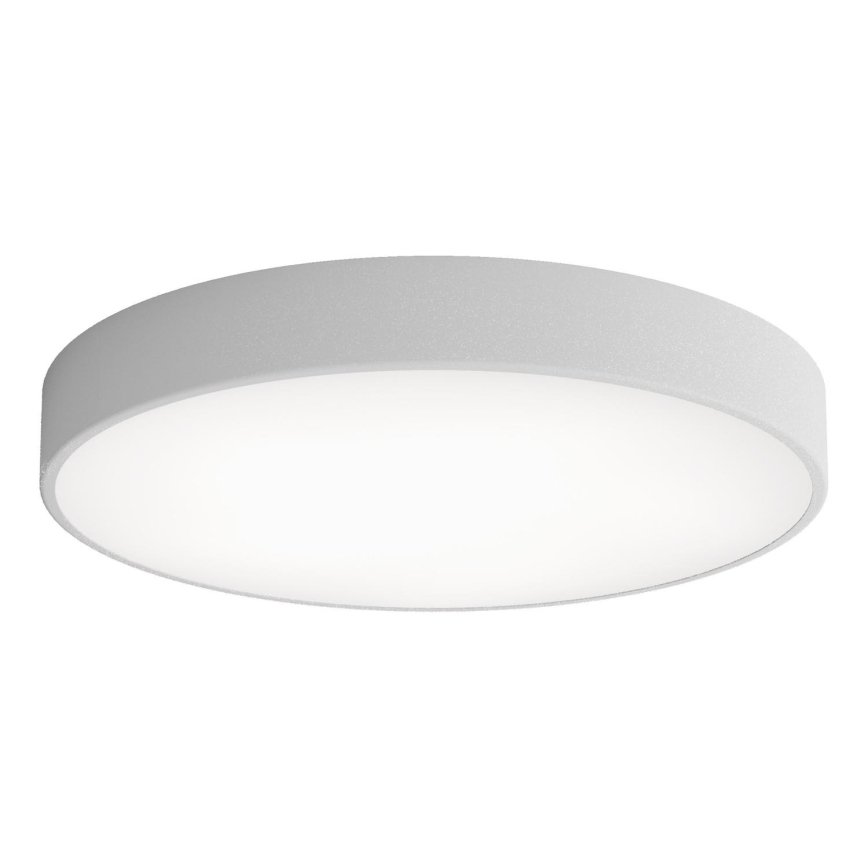 Plafoniera LED CLEO LED/69W/230V 3000K diametro 60 cm grigio