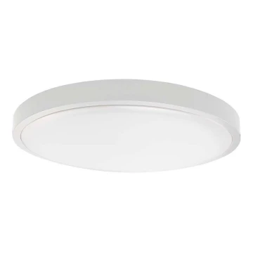 Plafoniera LED da bagno LED/24W/230V 4000K IP44 bianco