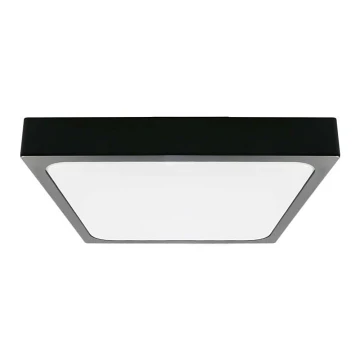 Plafoniera LED da bagno LED/24W/230V 6500K IP44 nero