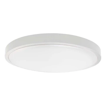 Plafoniera LED da bagno LED/30W/230V 6500K IP44 bianco