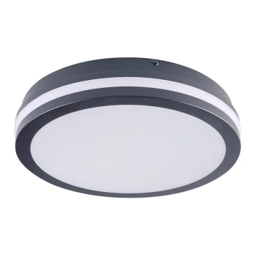 Plafoniera LED da esterno con sensore BENO LED/24W/230V 4000K Antracite IP54