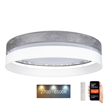 Plafoniera LED dimmerabile LIMA LED/36W/230V 2700-6500K Wi-Fi Tuya + telecomando argento/bianco