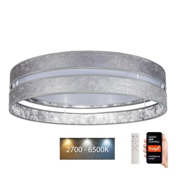 Plafoniera LED dimmerabile LIMA LED/36W/230V 2700-6500K Wi-Fi Tuya + telecomando argento