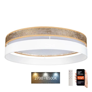 Plafoniera LED dimmerabile LIMA LED/36W/230V 2700-6500K Wi-Fi Tuya + telecomando bianco/oro