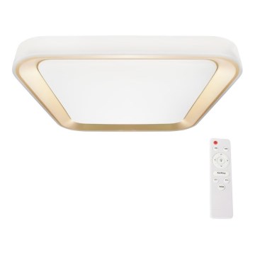 Plafoniera LED dimmerabile QUADRO LED/66W/230V 3000-6000K bianco/oro + telecomando