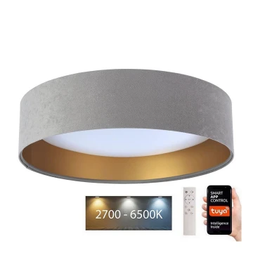 Plafoniera LED dimmerabile SMART GALAXY LED/36W/230V d. 55 cm 2700-6500K Wi-Fi Tuya grigio/oro + telecomando