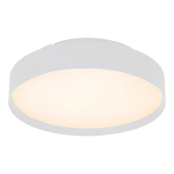 Plafoniera LED LED/40W/230V 3000K diametro 45 cm bianco