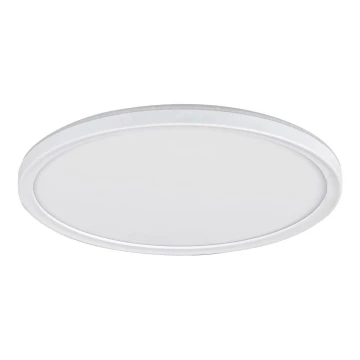 Plafoniera LED PAVEL LED/18W/230V