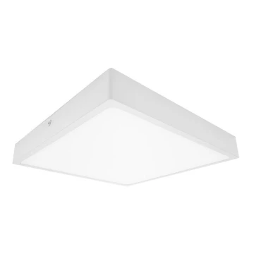 Plafoniera LED per bagni EGON LED/30W/230V IP44 3000K