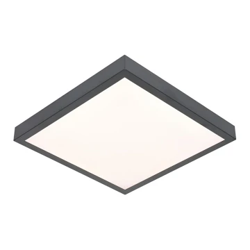 Plafoniera LED VITALI LED/24W/230V