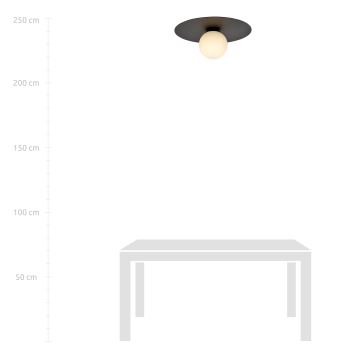 Plafoniera SOLAR 1xE14/10W/230V nero/bianco