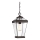 Quoizel - Lampadario da esterno a sospensione con catena RAVINE 1xE27/60W/230V IP23 marrone