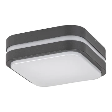 Rabalux 8849 - Applique a LED da esterno HAMBURG LED/10W/230V IP44