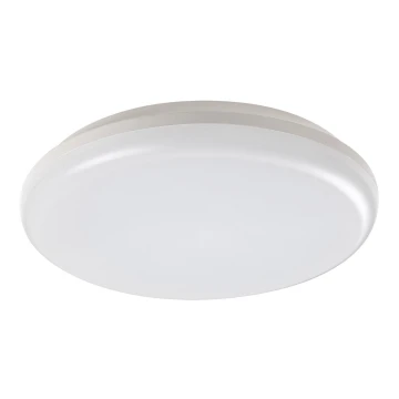 Rabalux - Plafoniera LED da esterno LED/24W/230V IP64