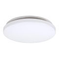 Rabalux - Plafoniera LED LED/20W/230V