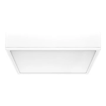 Rabalux - Plafoniera LED LED/22W/230V 3000/4000/6000K 21x21 cm bianco