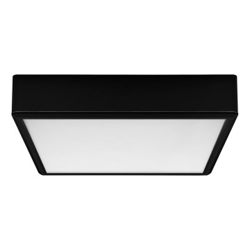 Rabalux - Plafoniera LED LED/22W/230V 3000/4000/6000K 21x21 cm nero