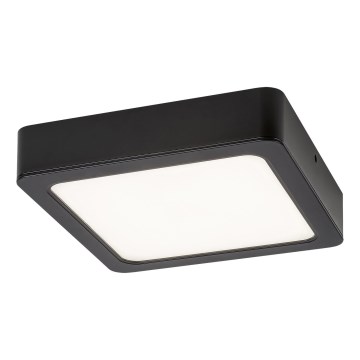 Rabalux - Plafoniera LED LED/24W/230V 3000K 22x22 cm nero