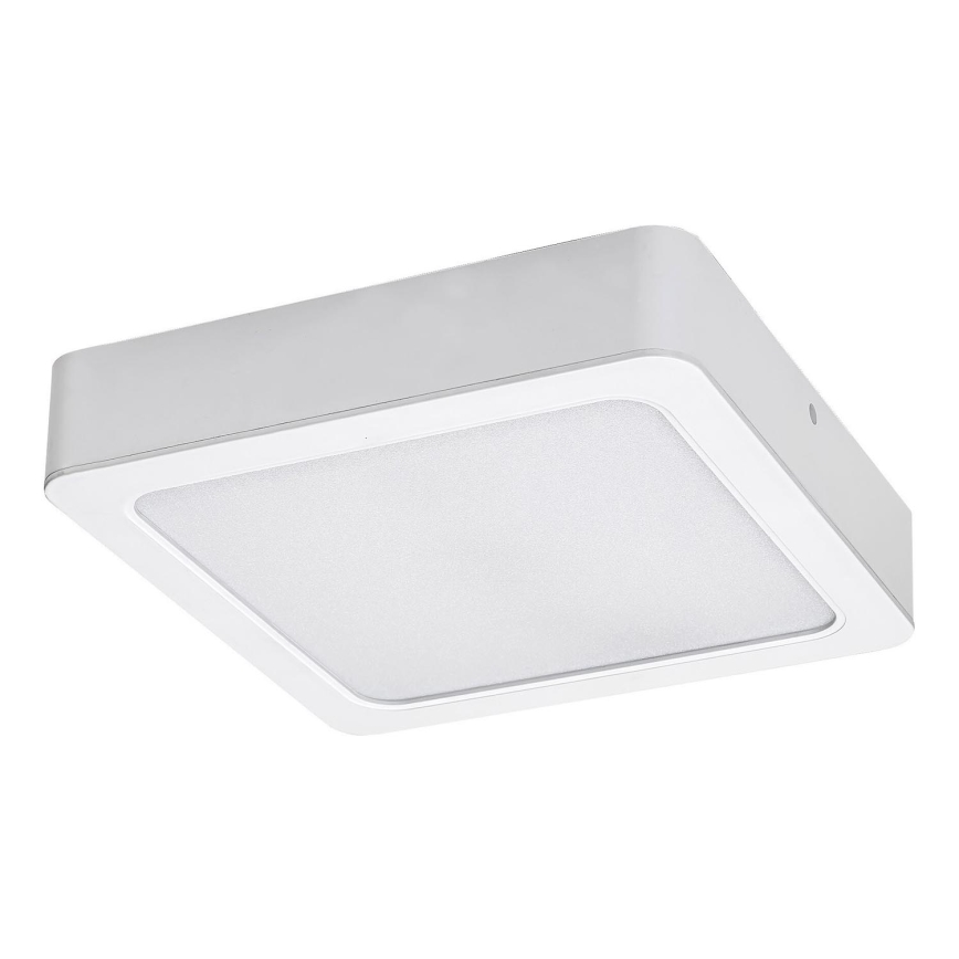 Rabalux - Plafoniera LED LED/24W/230V 4000K 22x22 cm bianco