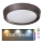Rabalux - Plafoniera LED RGB dimmerabile LED/24W/230V + TC 3000-6000K