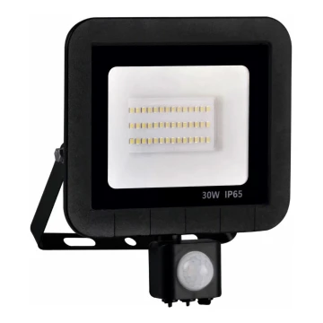 Riflettore LED con sensore LED/30W/230V IP65